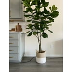 Image 3 of customer photos