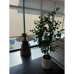 Image 7 of customer photos