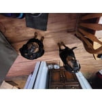 Image 2 of customer photos