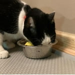 Image 6 of customer photos