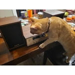 Image 4 of customer photos