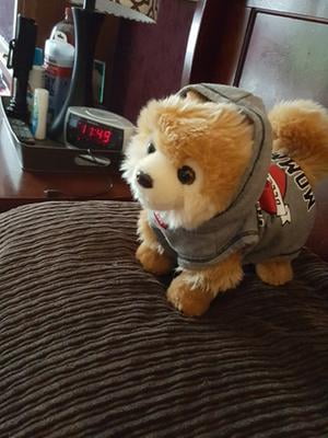 pomeranian stuffed animal walmart