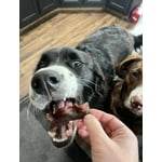 Image 6 of customer photos