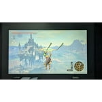 Image 6 of customer photos