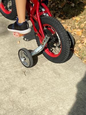 evo training wheels