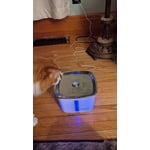 Image 3 of customer photos