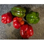 Image 1 of customer photos