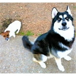 Image 3 of customer photos