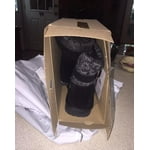 Image 6 of customer photos