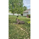 Image 4 of customer photos