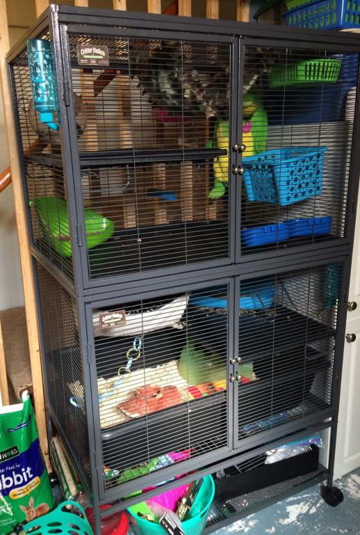 midwest ferret nation double unit with stand ferret cage