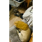 Image 7 of customer photos