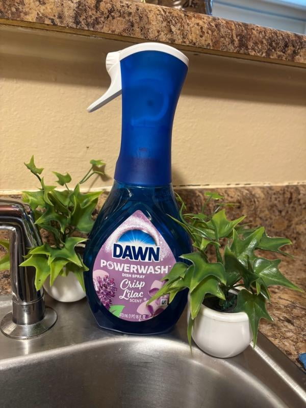 バーベキュー・調理用品 OD.SPT LIGHT OF DAWN Customer reviews for Dawn Powerwash 