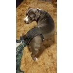 Image 1 of customer photos