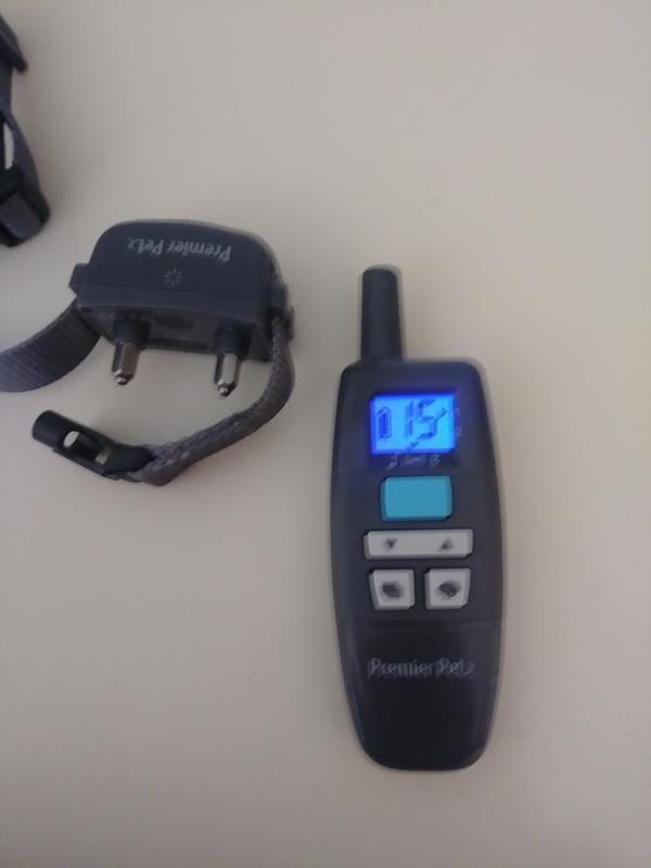 300 yard trainer premier pet