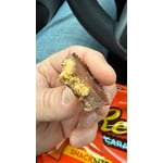 Image 5 of customer photos