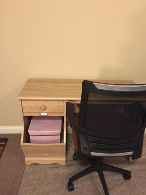 sauder storybook desk