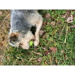 Image 5 of customer photos