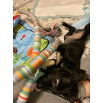 Image 7 of customer photos