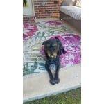 Image 1 of customer photos