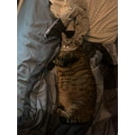 Image 5 of customer photos