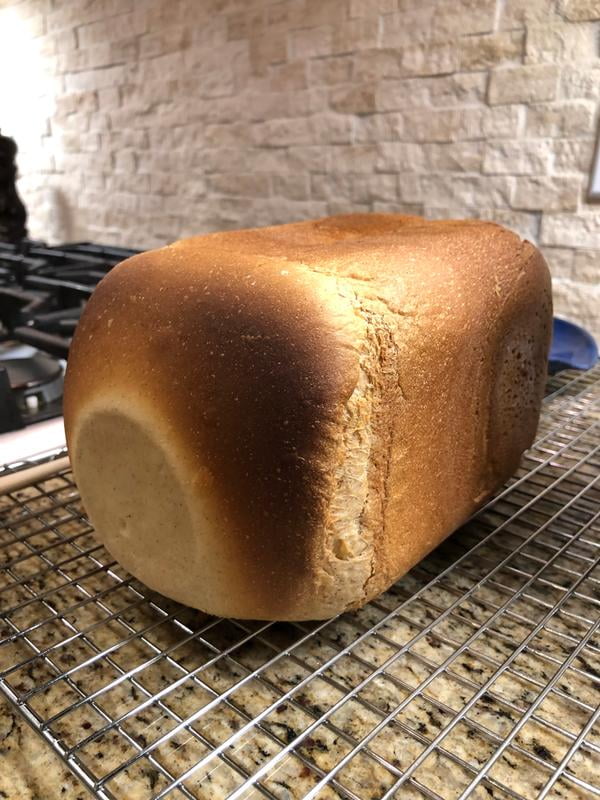 elite gourmet bread maker butter bread｜TikTok Search