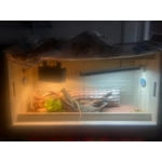 Image 3 of customer photos