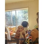 Image 6 of customer photos