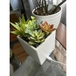 Image 8 of customer photos