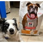 Image 2 of customer photos