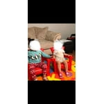 Image 1 of customer photos