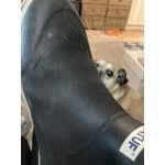 Image 5 of customer photos