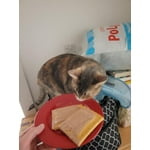 Image 4 of customer photos