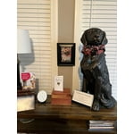Image 3 of customer photos