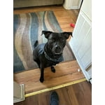 Image 6 of customer photos