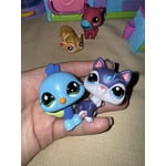 Image 4 of customer photos