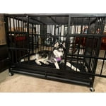 Image 4 of customer photos