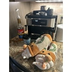 Image 7 of customer photos