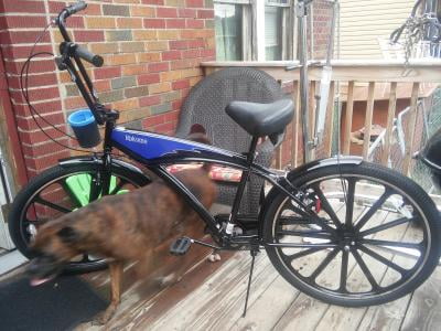 Schwinn kokomo hot sale
