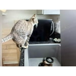 Image 6 of customer photos