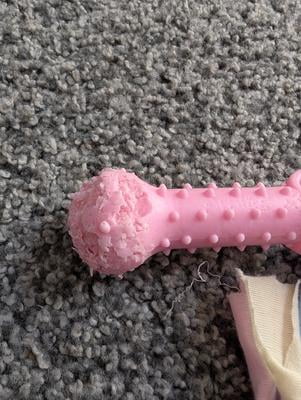 Armscye 5 Pack Puppy Chew Toys, Pink Rubber Teething Toys, Plush Squeaky Interactive Dog Bone Toys - Walmart.com Armscye 5 Pack Puppy Chew Toys, Pink Rubber Teething Toys, Plush Squeaky Interactive Dog Bone Toys - Walmart.com