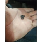 Image 7 of customer photos