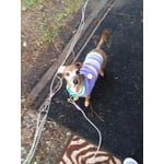 Image 1 of customer photos