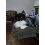 Image 5 of customer photos