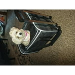 Image 3 of customer photos