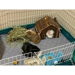 Image 1 of customer photos