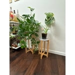 Image 7 of customer photos