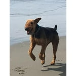 Image 7 of customer photos