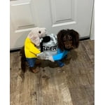 Image 2 of customer photos