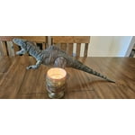 Image 6 of customer photos